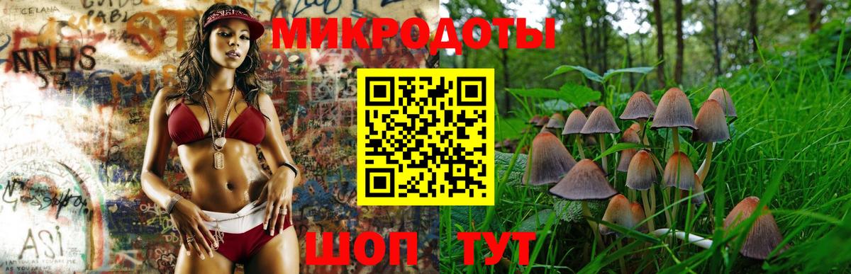 Галлюциногенные грибы Magic Shrooms  Псилоцибиновые грибы MAGIC MUSHROOMS  Вход с VPN  сколько стоит  Елизово 